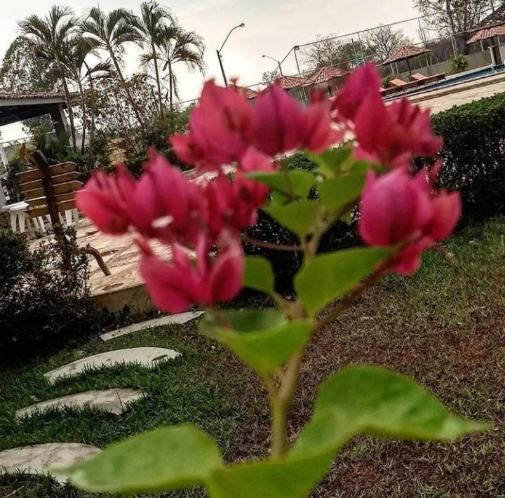 Balsas Pousada Recanto Dos Passaros מראה חיצוני תמונה